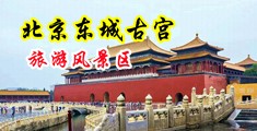 欧插少妇中国北京-东城古宫旅游风景区